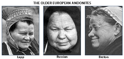 Older European Andonites