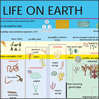 2010 Evolution of Life on Earth chart