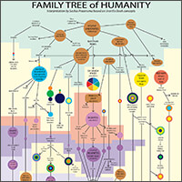 Family Tree of Humanity